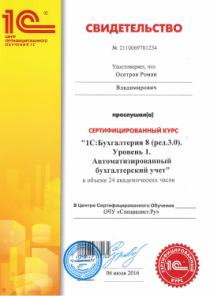 1C:Бухгалтерия 8 (редакция 3.0). Уровень 1. Автоматизированный бухгалтерский учет